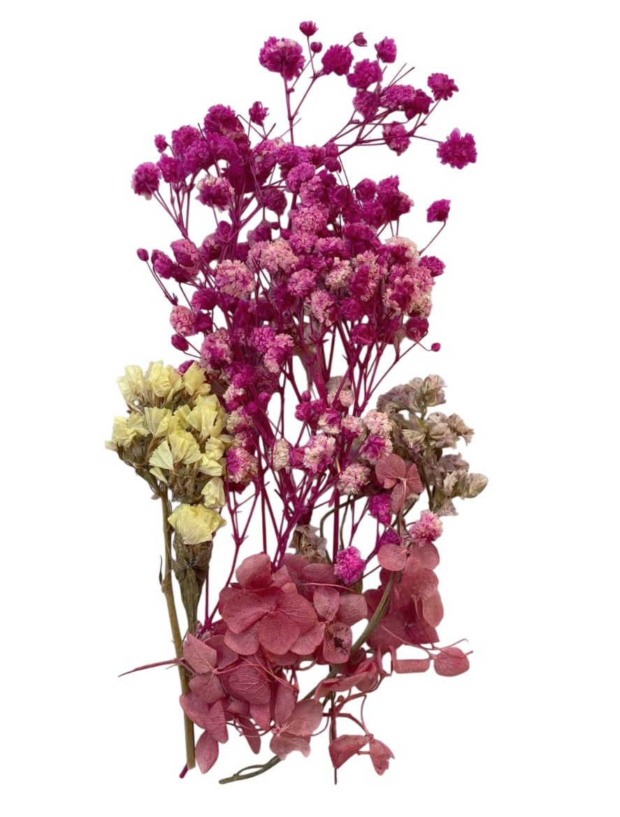 Flori naturale uscate, gama roz - ciclam