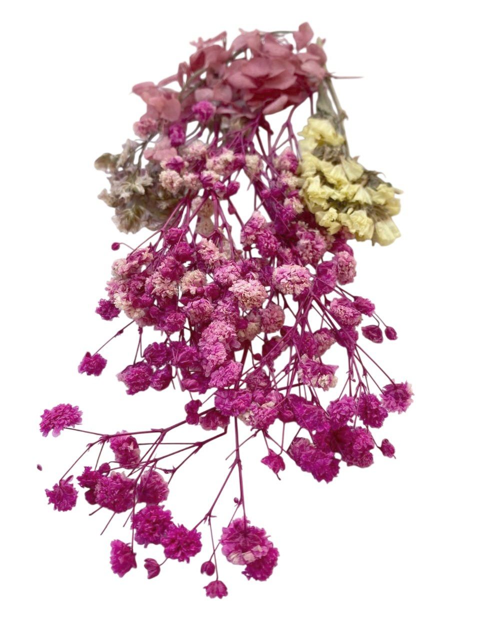 Flori naturale uscate, gama roz - ciclam - imagine 3