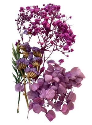 Flori naturale uscate, gama lila - ciclam