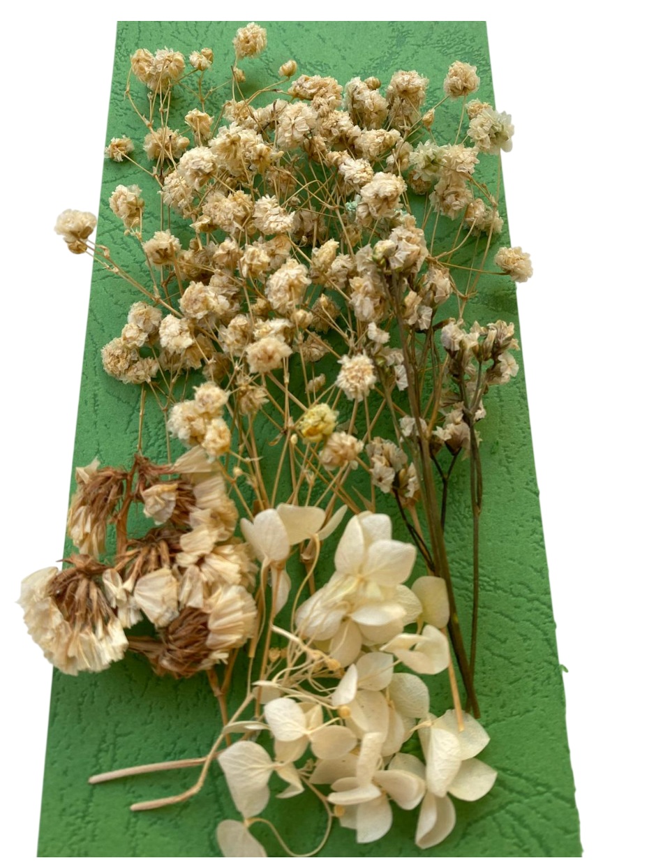Flori naturale uscate, gama alb - crem - imagine 3