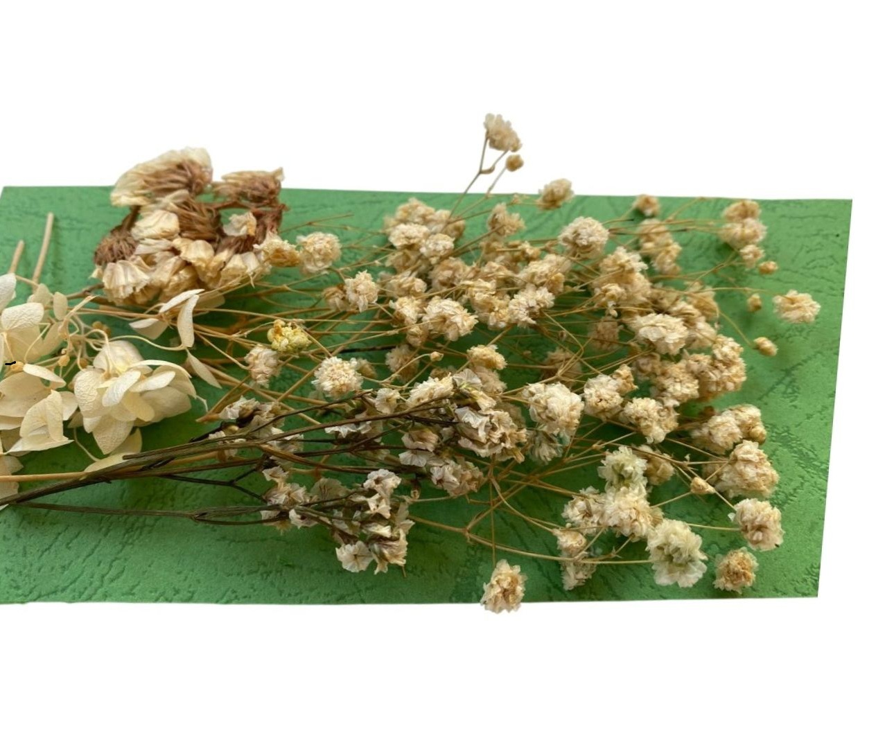 Flori naturale uscate, gama alb - crem - imagine 4