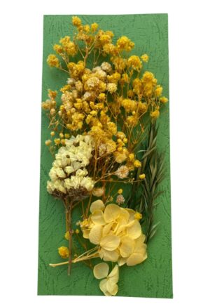Flori naturale uscate, gama galben pastel
