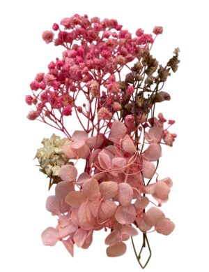 Flori naturale uscate, gama coral