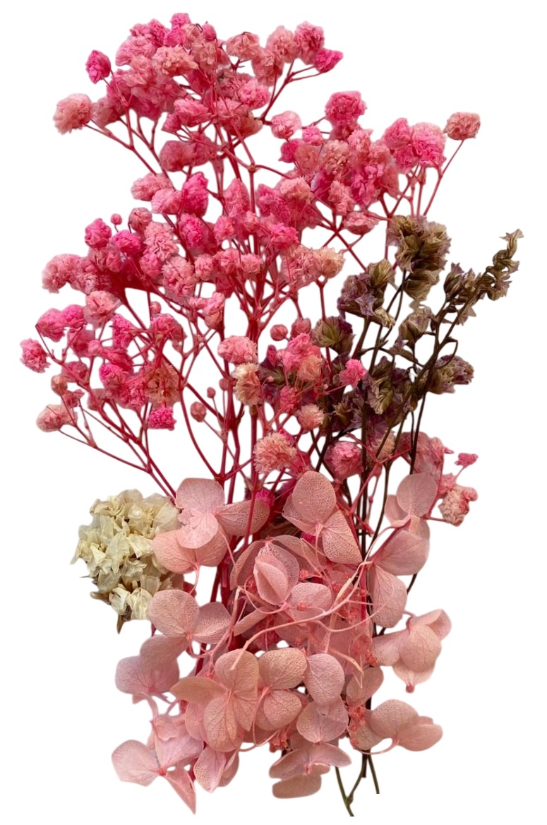 Flori naturale uscate, gama coral - imagine 2