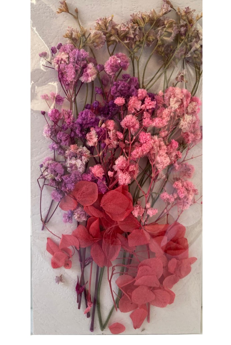Flori naturale uscate, gama rosu pastel - ciclam inchis - imagine 5
