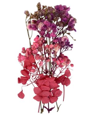 Flori naturale uscate, gama rosu pastel - ciclam inchis