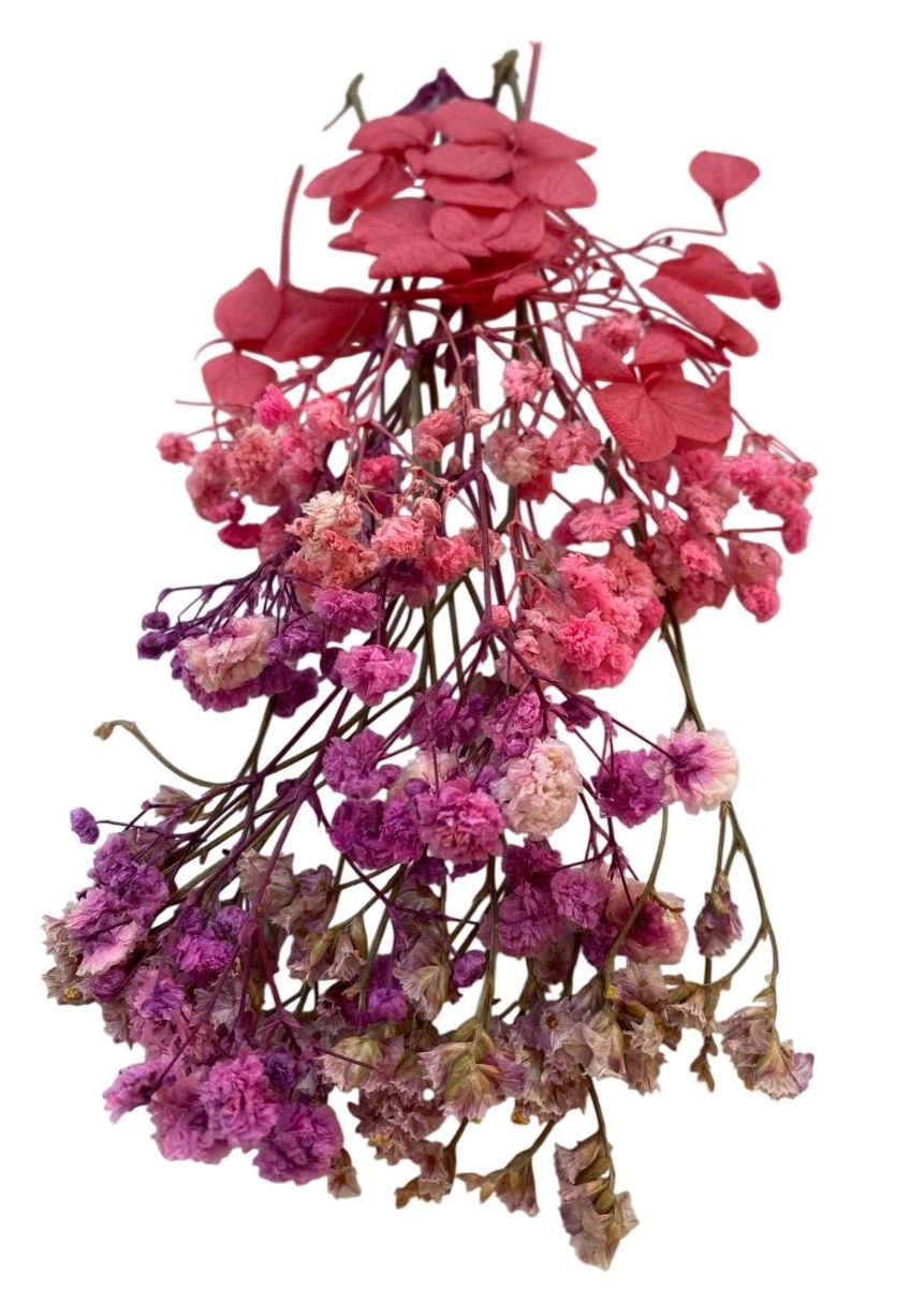 Flori naturale uscate, gama rosu pastel - ciclam inchis - imagine 3