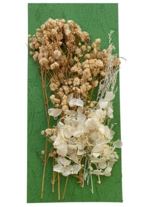 Flori naturale uscate, gama alb - crem