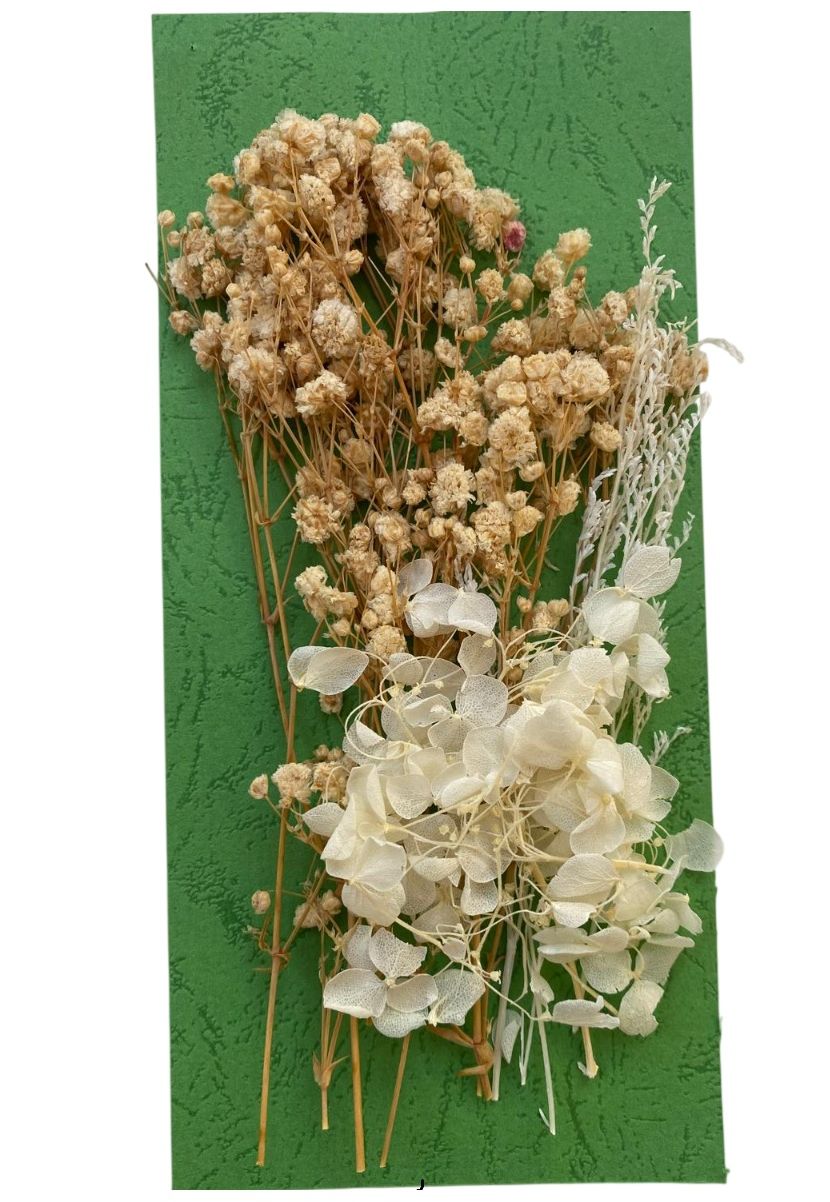 Flori naturale uscate, gama alb - crem - imagine 2