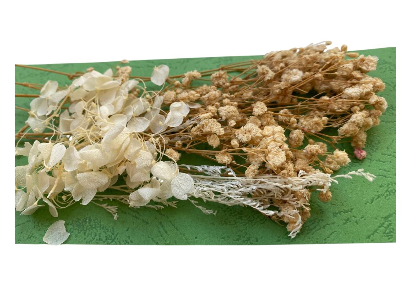Flori naturale uscate, gama alb - crem - imagine 5
