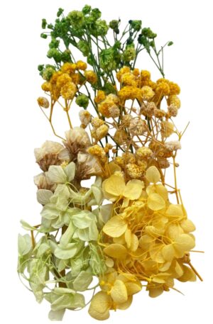 Flori naturale uscate, gama galben - verde