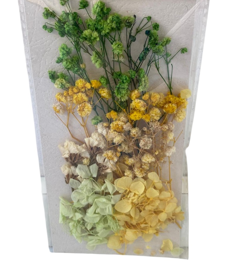 Flori naturale uscate, gama galben - verde - imagine 4
